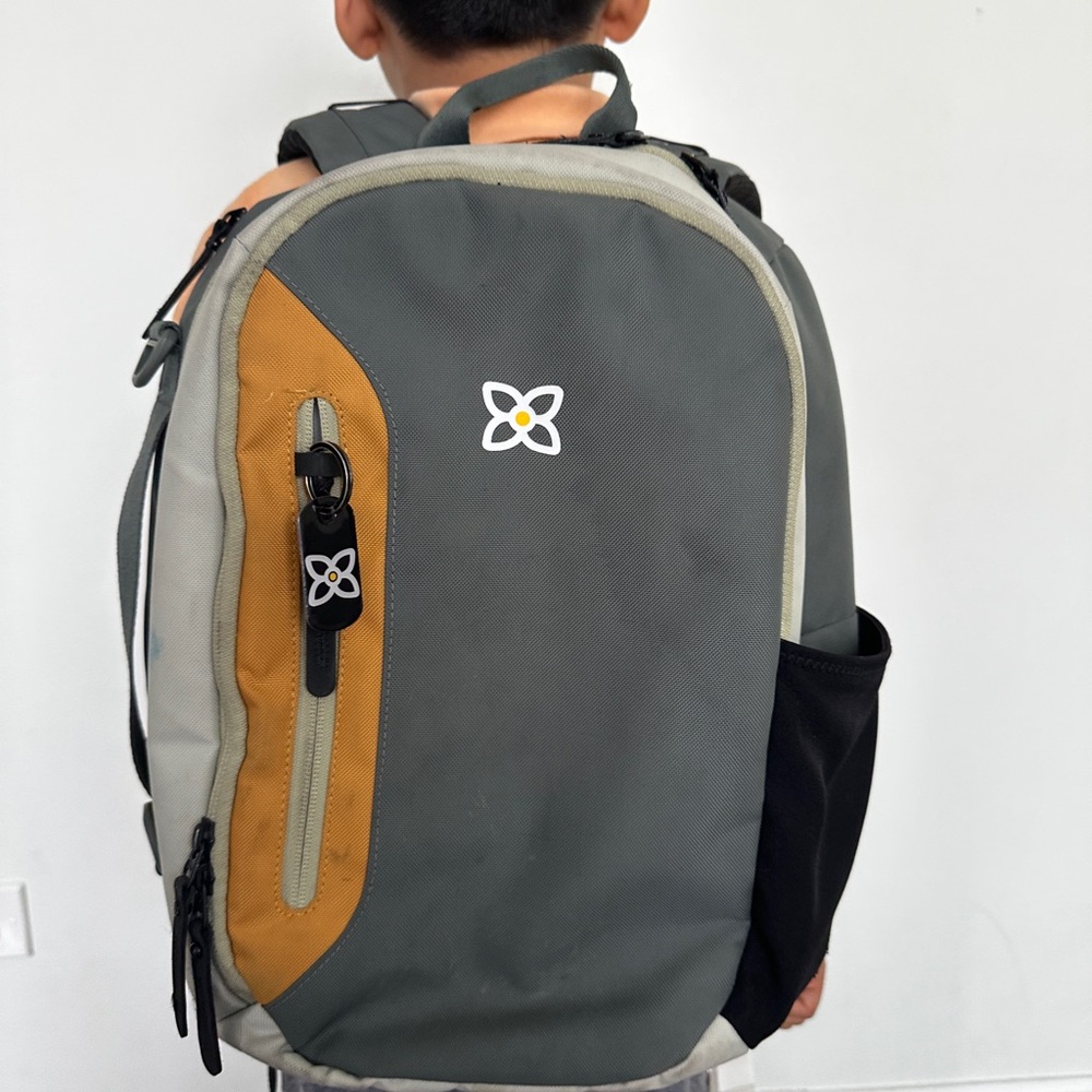 Sherpani Gray and Tan Bag with Modern Design